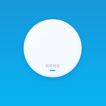 鲲鹭智家网关G1